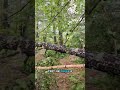 Camping Safety during a tornado warning