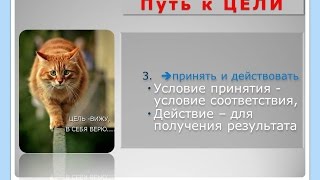 С чего начать Урок 3 Выбор направления - видеоурок С чего начать Урок 3 Выбор направления - видеоурок