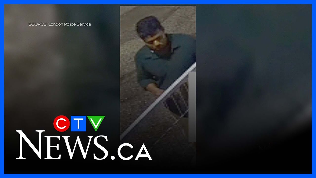 Police release suspect description in late-night sexual assault ...