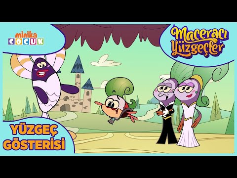 Maceracı Yüzgeçler Yüzgeç Gösterisi