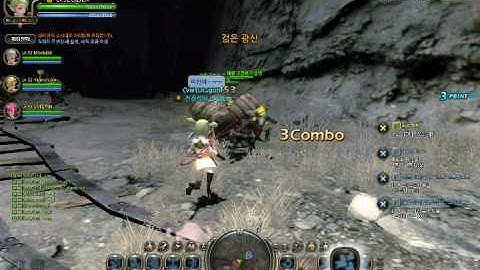 Dragon Nest - bug
