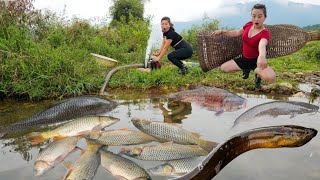 Top video: Catching fish, fish traps, eel traps and using the best water pump to catch fish.