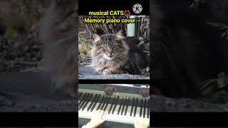 CATS  Memory キャッツ メモリー　ピアノで弾いてみた #piano #shortsfeed #shorts #ショート Momoko piano channel