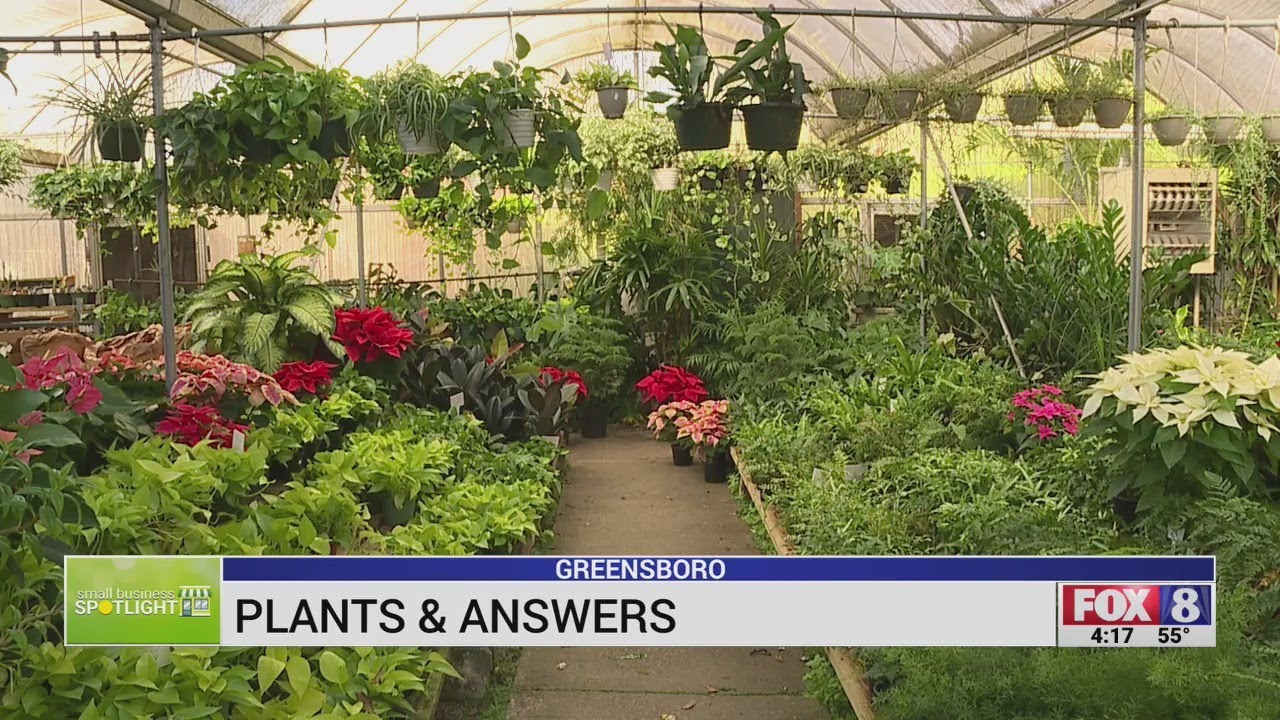 Plants and Answers Big Green House in Greensboro has everything you