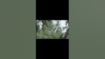 #القرآن_الكريم #اكسبلور #المصحف #قرآن #لايك #الرحمن #ترند #تلاوة_خاشعة