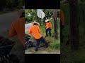 #short #shorts #mowing #edging #cleanup #asmr #satisfying #sbmowing #cleaning #overgrownyard #fypシ