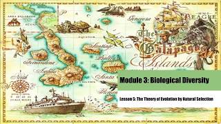 Celebrity Module 3 Lesson 5 Net Worth