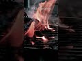 Barbecue season 🇨🇦 #viral #canada #shorts #barbecue