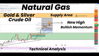 Natural Gas New High and Heading Supply Area | Gold | Silver | Crude Oil | Forecast