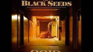 The Black Seeds - Love for property