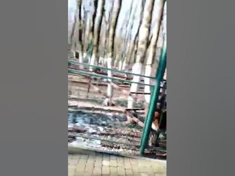 ещё раз, плять плюнешь 🤣🤣🤣 - YouTube