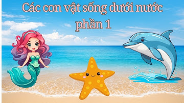CÙNG BÉ NHẬN BIẾT CÁC CON VẬT SỐNG DƯỚI NƯỚC - DẠY BÉ HỌC NÓI
