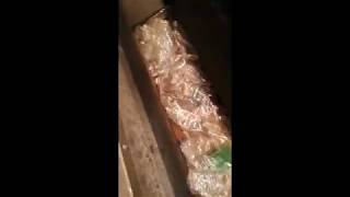 Whole bottle sorting with NIR separator pvc整瓶分选
