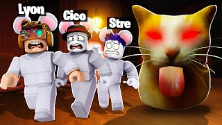 SIAMO TOPI e SCAPPIAMO DAL GATTO GIGANTE SU ROBLOX!!