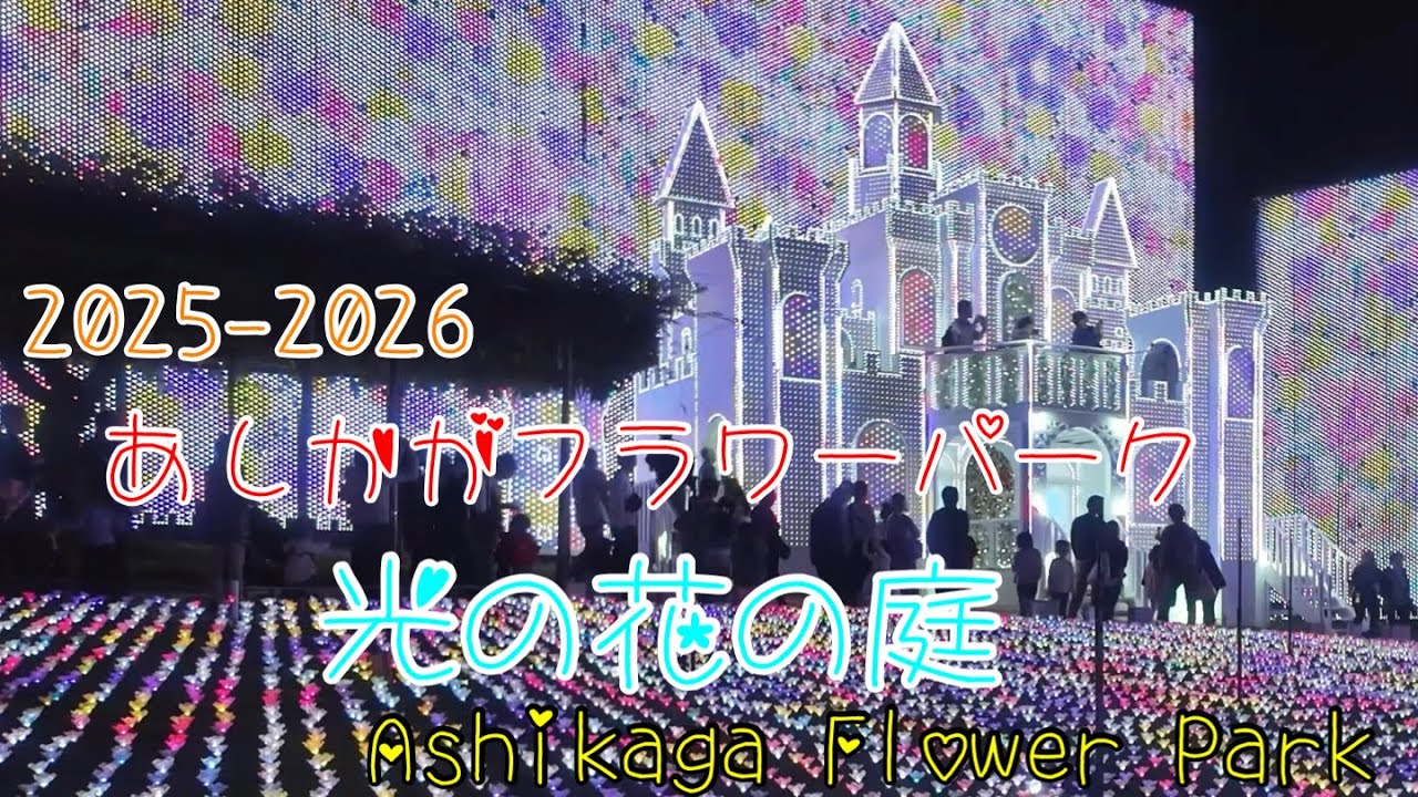 【あしかがフラワーパーク】2025.10 光の花の庭 Ashikaga Flower Park