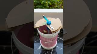 Funny! Rice bait trick so simple, mice fall for this clever hack #pestcontrol #micesolution #DIY