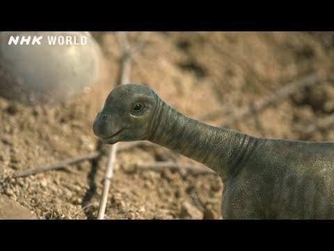 Video: Adakah sauropoda mempunyai tulang?