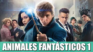 Thumbnail for ANIMALES FANTÁSTICOS Y DÓNDE ENCONTRARLOS | RESEÑA (MUY INFERIOR A HARRY POTTER)
