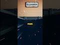 The Library That Deleted Itself