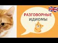 Разговорные английские идиомы │Speak all Week Разговорный английский