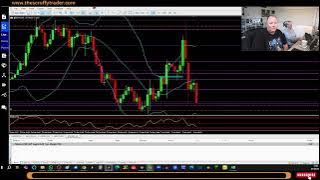 🚀 How to Open a Live Black Bull MT5 Forex Account – Step by Step