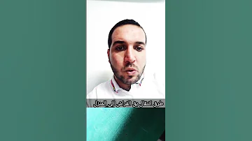 أسباب تواجد البق بق الفراش في المنزل بق الفراش حشرات مكافحة الحشرات 