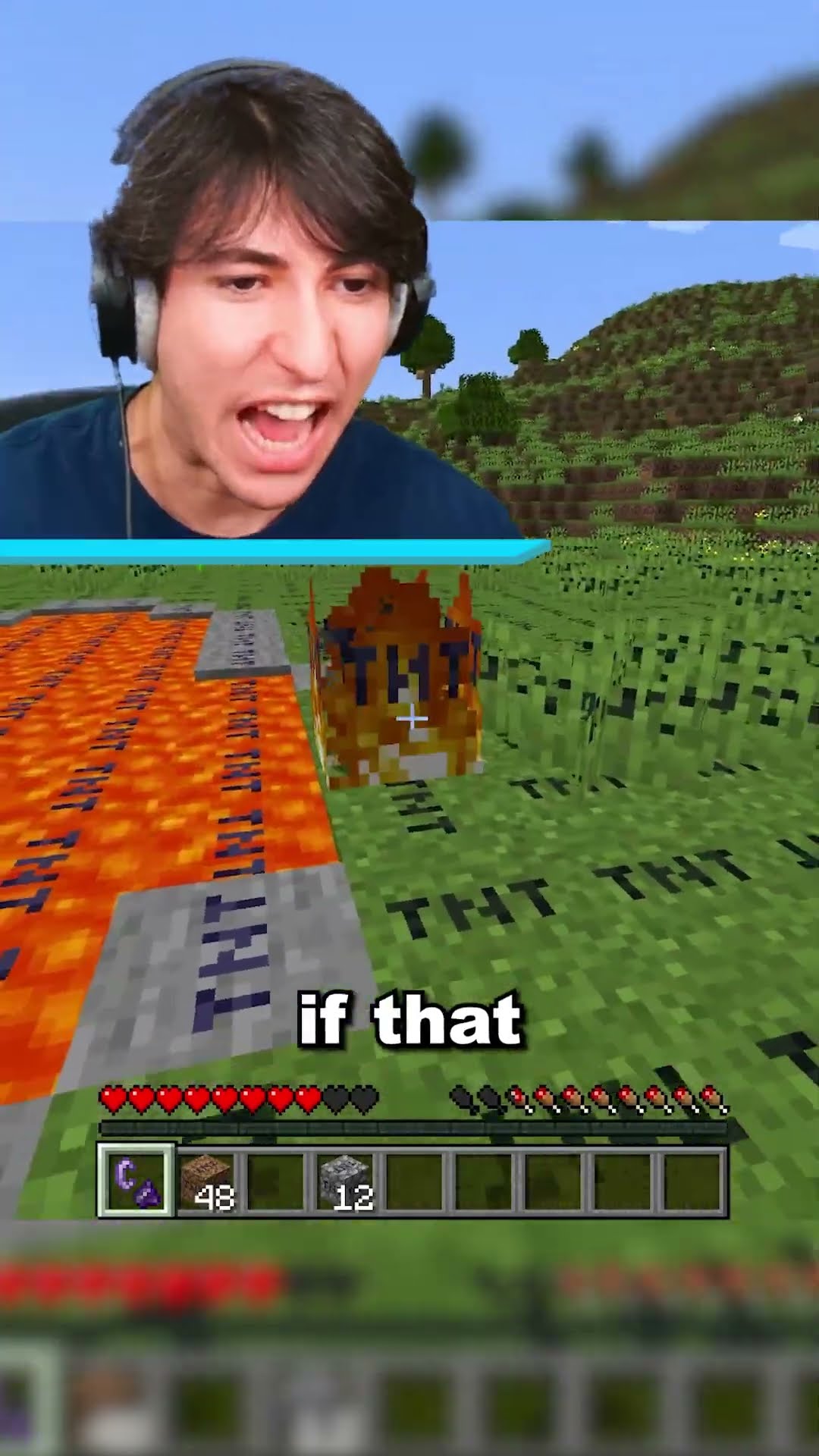 Minecraft if Villagers Beat The Game For You