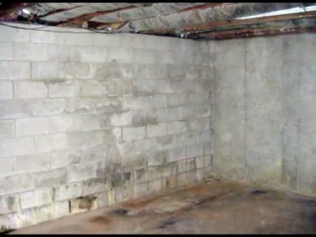 Guide To Damp Proofing Your Cellar, How To Treat A Damp Basement Wall