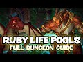 Ruby life pools  complete dungeon strategy guide