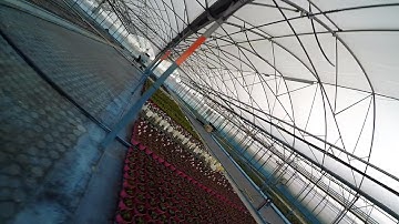 Alien 5" Indoor Test // ImpulseRC