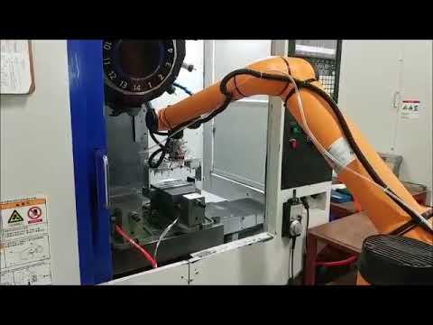 AUBO i10 video