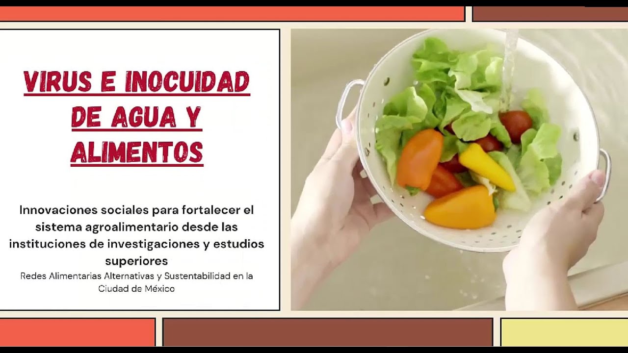 7. Virus e inocuidad de agua y alimentos - YouTube
