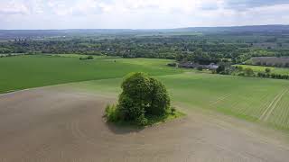 Brightwell Barrow