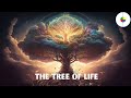 Tree of Life