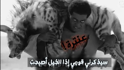 ينادونني في السلم يا ابن زبيبة