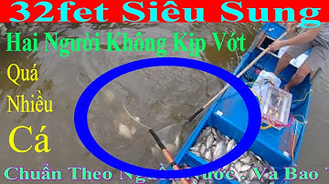 Thực Máy Kích Cá 32 fet auto ngọt lợ mặn thối bẩn tạp chất , đa nguồn nước cá thì nổi như phao