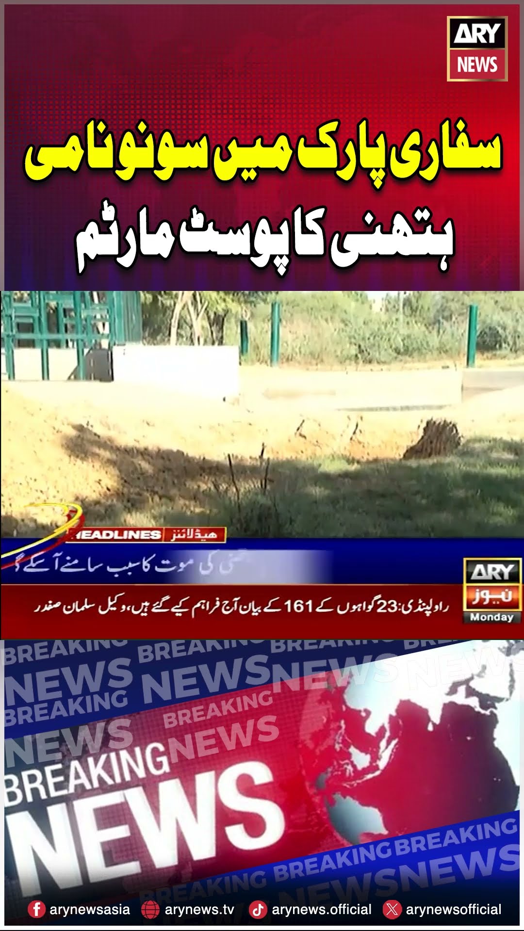 Tsunami Nami Hathi Ka Postmortem #arynews #shorts #ytshorts #elephant #tsunami