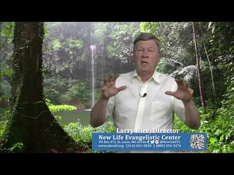 Larry Rice Reflects - YouTube