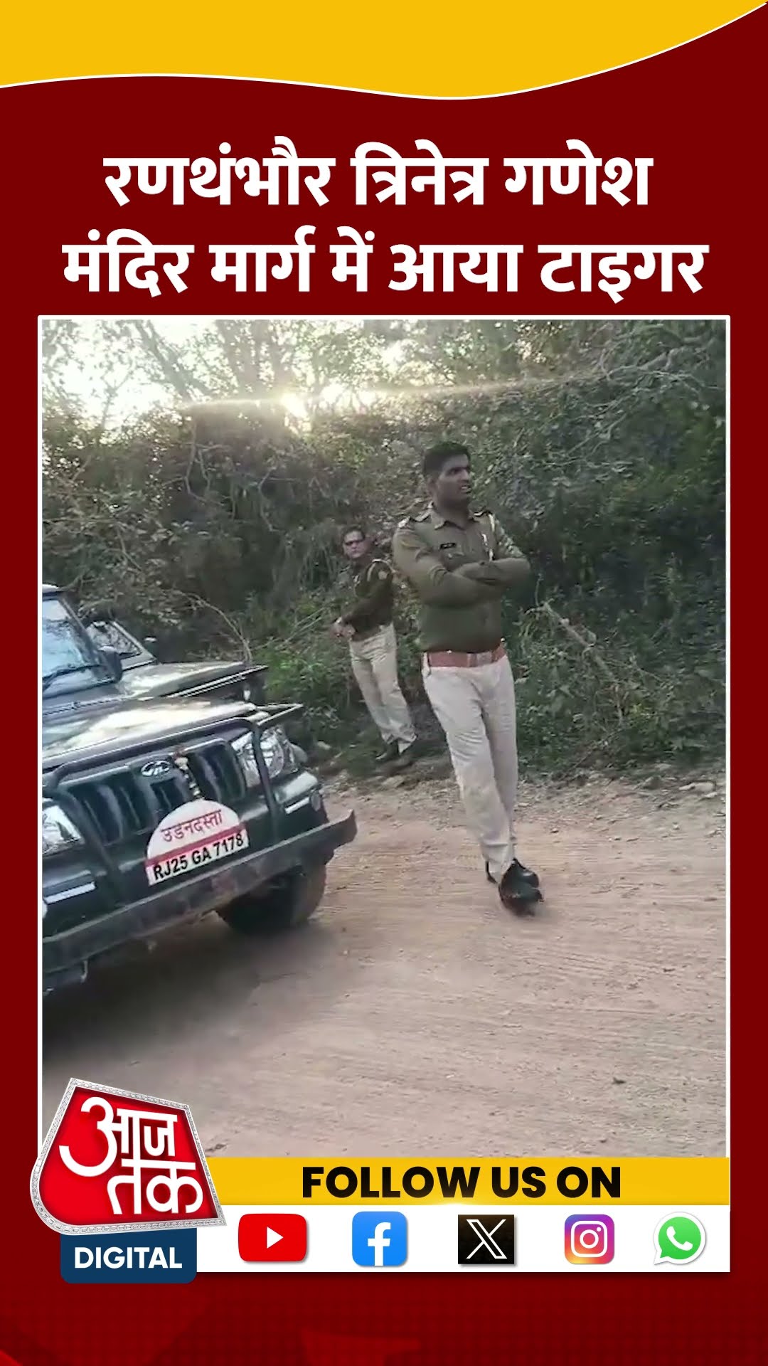 Ranthambore त्रिनेत्र गणेश मंदिर मार्ग में आया Tiger #shorts #shortsvideo #viralvideo #aajtak