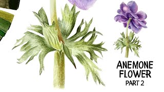Anemone Flower Painting | Part 2 | 💜