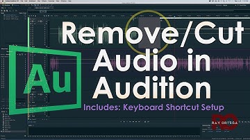 Removing/Cutting Audio in Adobe Audition