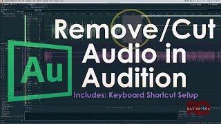 Removing/Cutting Audio in Adobe Audition