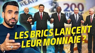 Dédollarisation : la stratégie des BRICS | #Octogone21