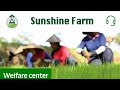 Sunshine farm live deposit honest review new longterm platform launched april 07 2024