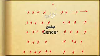 Arabic Basic Zoom Class 1