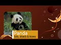 Grammar checker in Adobe RoboHelp