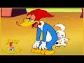 Woody Woodpecker Show | K-9 Woody | 1 Hour Woody Woodpecker Compilation | Videos For Kids
