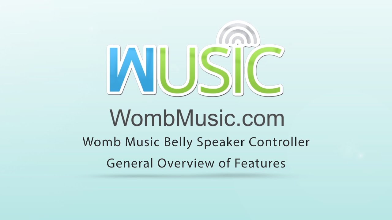 Wusic Bluetooth Pregnancy Belly Speaker - Play Music, Sounds and Voices to  Baby - No Annoying Wires