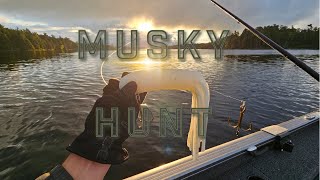 MUSKY FISHING TOURNAMENT!!! LAKE OF THE WOODS MUSKY CUP!!!