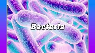 [FREE] Smokepurpp x Travis Scott Type Beat 2020 - "Bacteria" | Free Type Beat | Ugueto